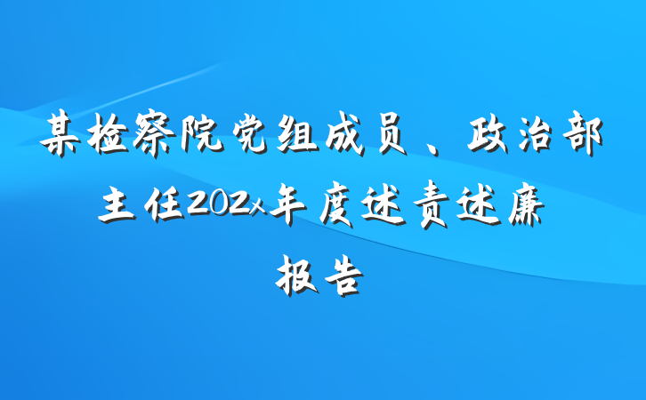 某检察院党组成员、政治部主任202x年度述责述廉报告