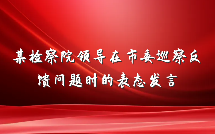 某检察院领导在市委巡察反馈问题时的表态发言
