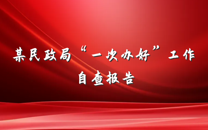 某民政局“一次办好”工作自查报告