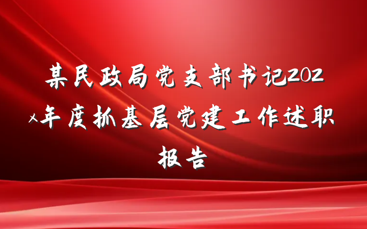 某民政局党支部书记202x年度抓基层党建工作述职报告
