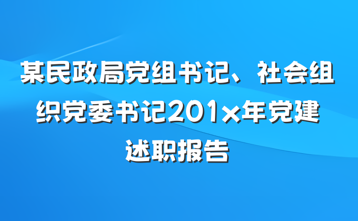 某民政局党组书记、社会组织党委书记201x年党建述职报告