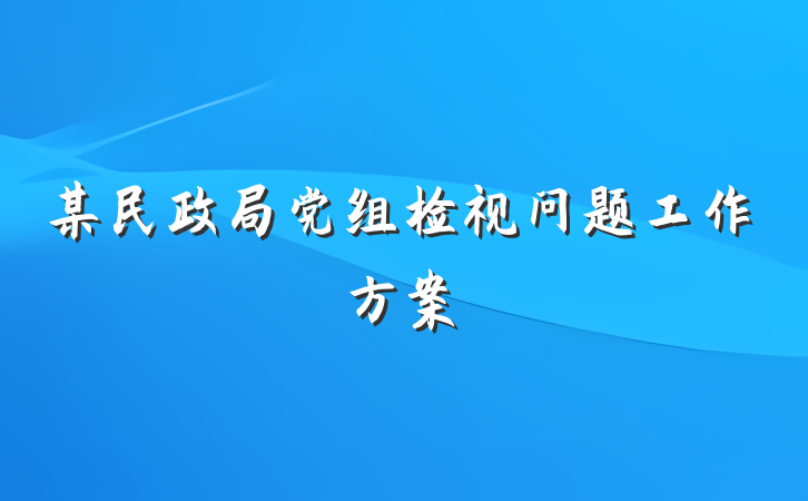 某民政局党组检视问题工作方案