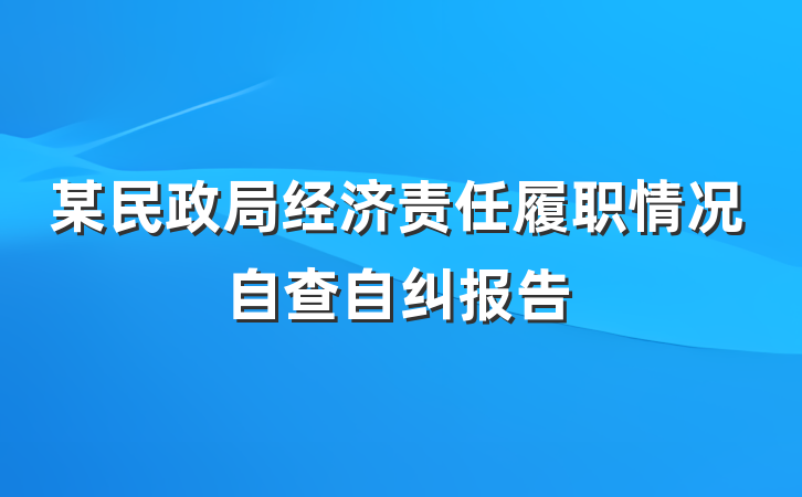某民政局经济责任履职情况自查自纠报告