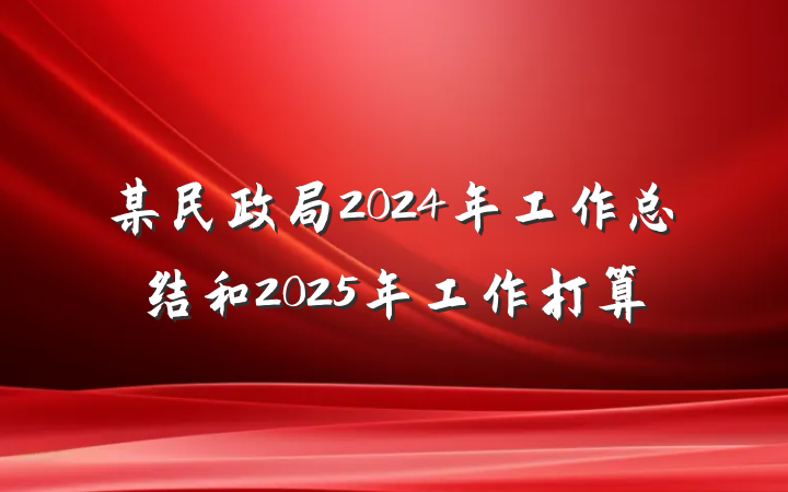 某民政局2024年工作总结和2025年工作打算
