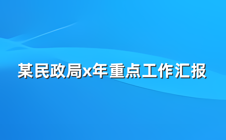 某民政局x年重点工作汇报