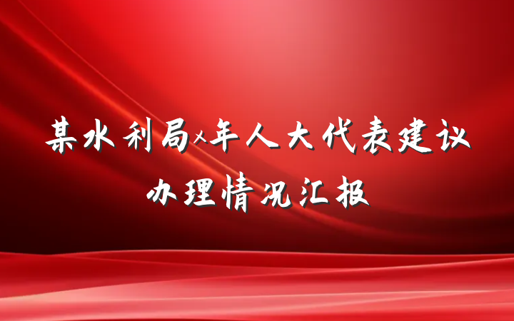 某水利局x年人大代表建议办理情况汇报