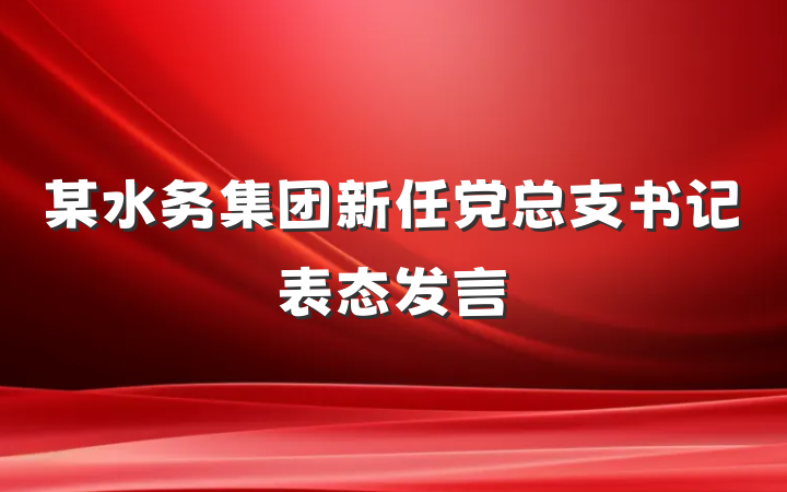 某水务集团新任党总支书记表态发言