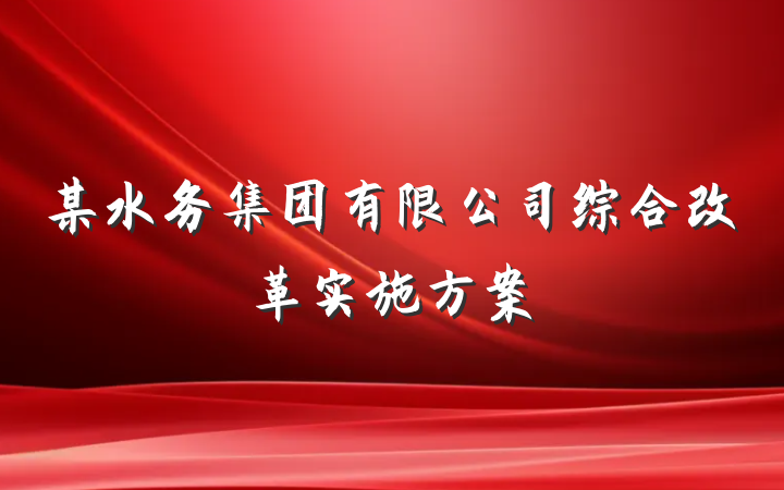 某水务集团有限公司综合改革实施方案