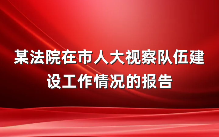 某法院在市人大视察队伍建设工作情况的报告