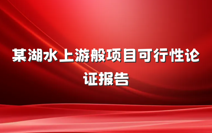 某湖水上游般项目可行性论证报告