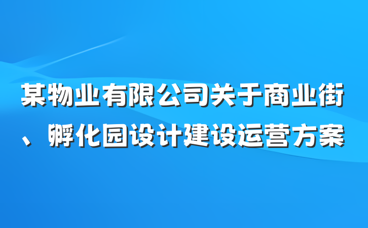 某物业有限公司关于商业街、孵化园设计建设运营方案