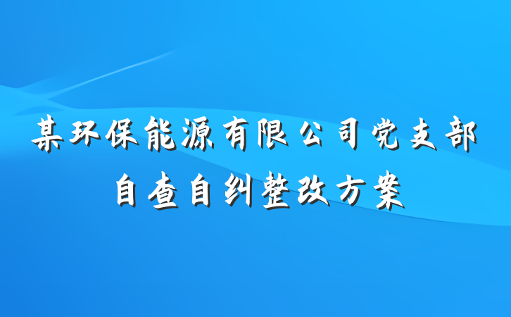 某环保能源有限公司党支部自查自纠整改方案