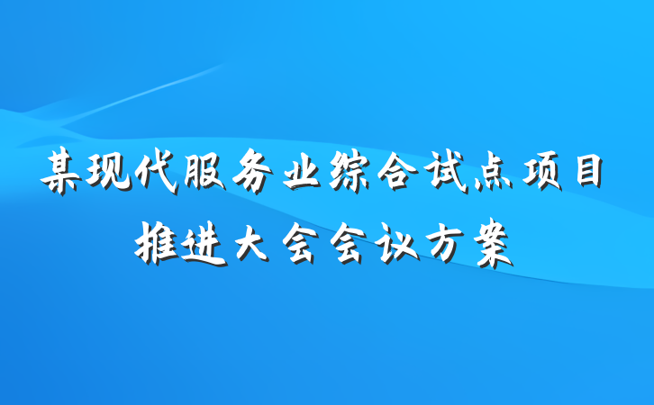 某现代服务业综合试点项目推进大会会议方案