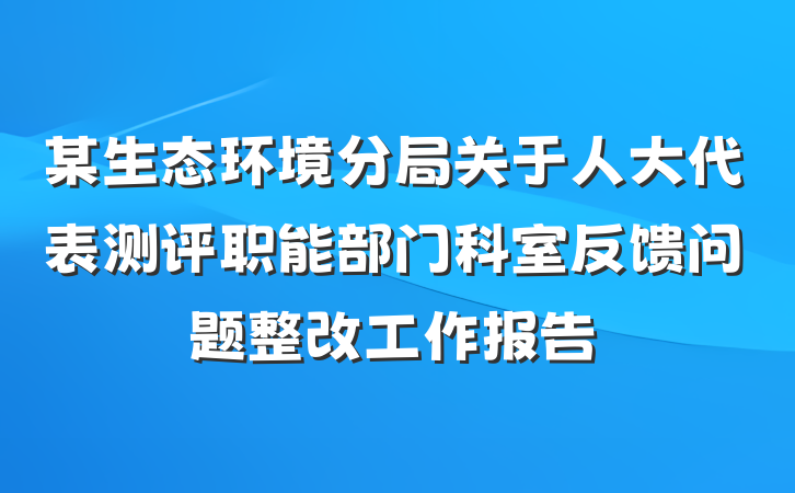 某生态环境分局关于人大代表测评职能部门科室反馈问题整改工作报告