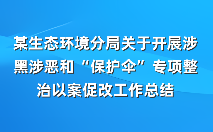 某生态环境分局关于开展涉黑涉恶和“保护伞”专项整治以案促改工作总结