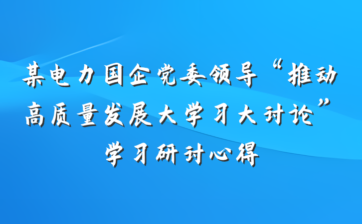 某电力国企党委领导“推动高质量发展大学习大讨论”学习研讨心得