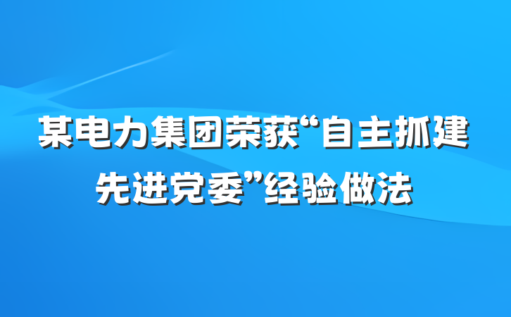 某电力集团荣获“自主抓建先进党委”经验做法