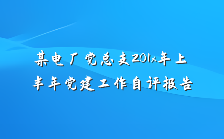 某电厂党总支201x年上半年党建工作自评报告