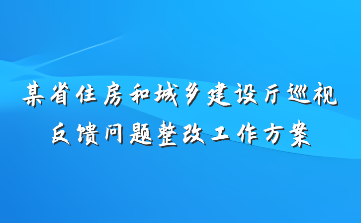 某省住房和城乡建设厅巡视反馈问题整改工作方案