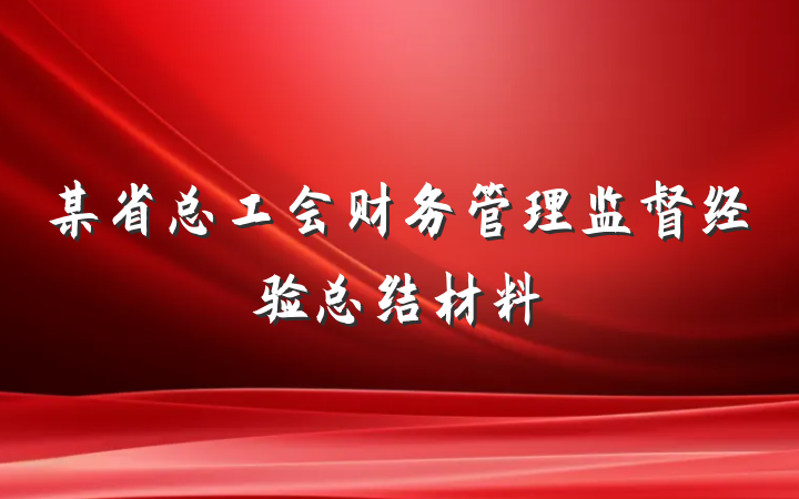 某省总工会财务管理监督经验总结材料