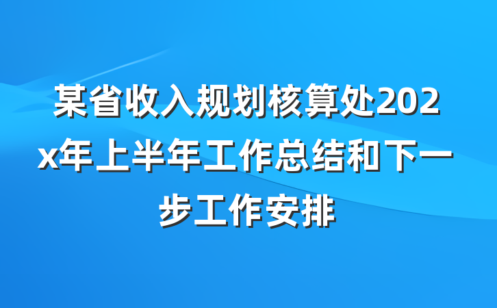 某省收入规划核算处202x年上半年工作总结和下一步工作安排