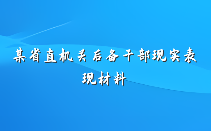 某省直机关后备干部现实表现材料