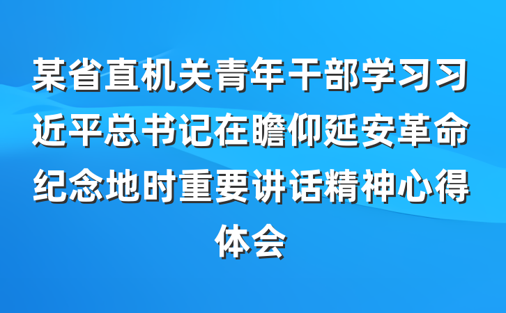 某省直机关青年干部学习习近平总书记在瞻仰延安革命纪念地时重要讲话精神心得体会