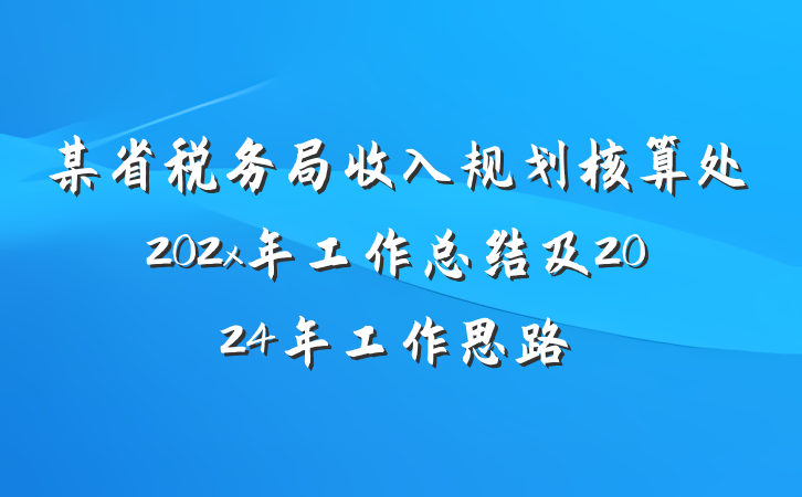某省税务局收入规划核算处202x年工作总结及2024年工作思路