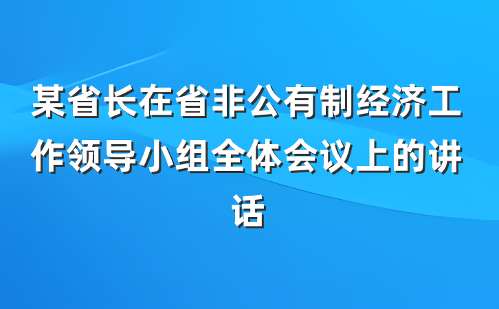 某省长在省非公有制经济工作领导小组全体会议上的讲话