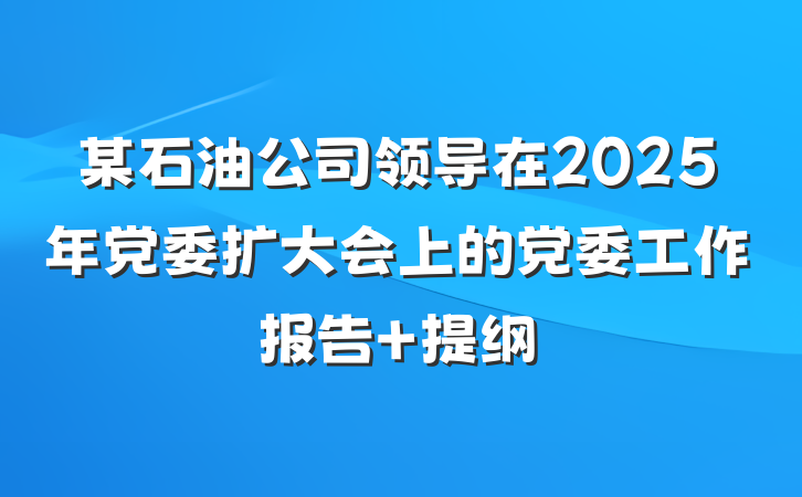 某石油公司领导在2025年党委扩大会上的党委工作报告 提纲