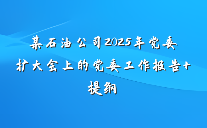 某石油公司2025年党委扩大会上的党委工作报告 提纲