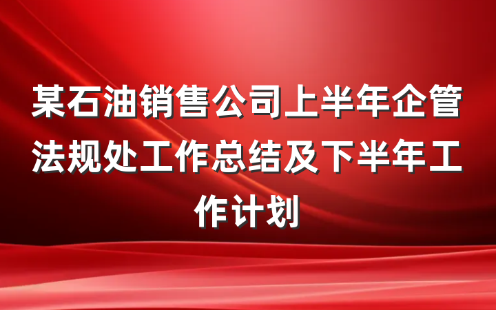 某石油销售公司上半年企管法规处工作总结及下半年工作计划