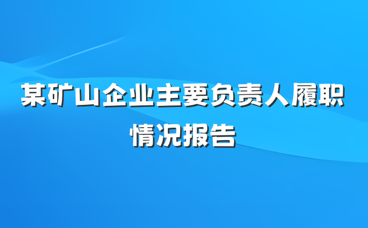 某矿山企业主要负责人履职情况报告