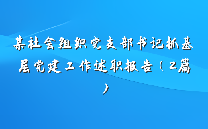 某社会组织党支部书记抓基层党建工作述职报告（2篇）