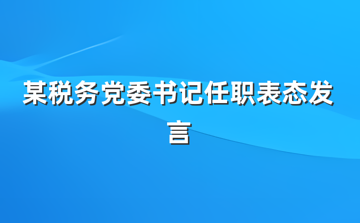 某税务党委书记任职表态发言