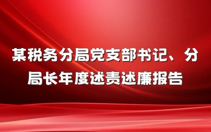 某税务分局党支部书记、分局长年度述责述廉报告