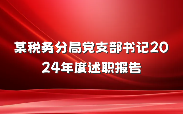 某税务分局党支部书记2024年度述职报告
