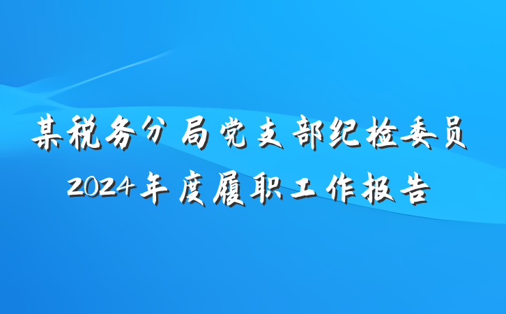 某税务分局党支部纪检委员2024年度履职工作报告