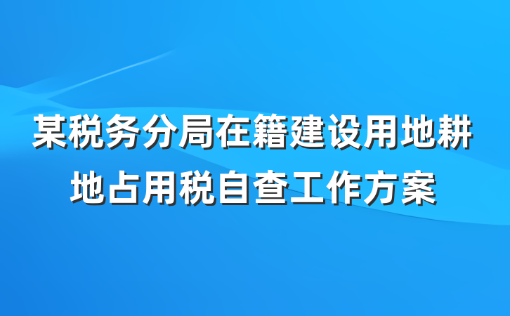某税务分局在籍建设用地耕地占用税自查工作方案