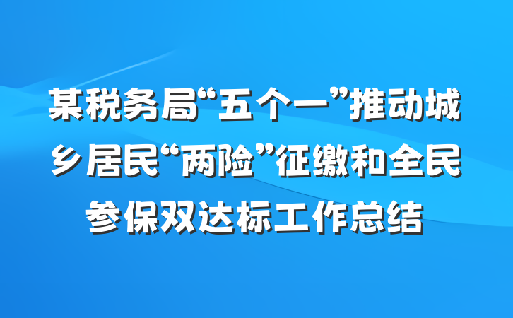 某税务局“五个一”推动城乡居民“两险”征缴和全民参保双达标工作总结