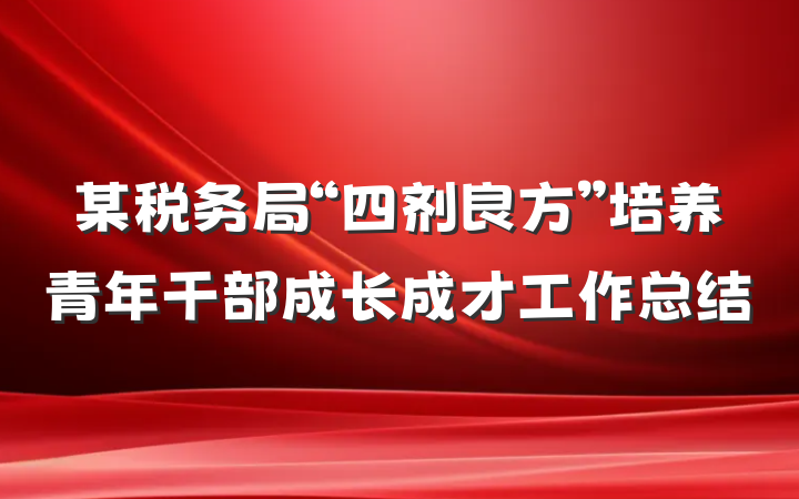 某税务局“四剂良方”培养青年干部成长成才工作总结