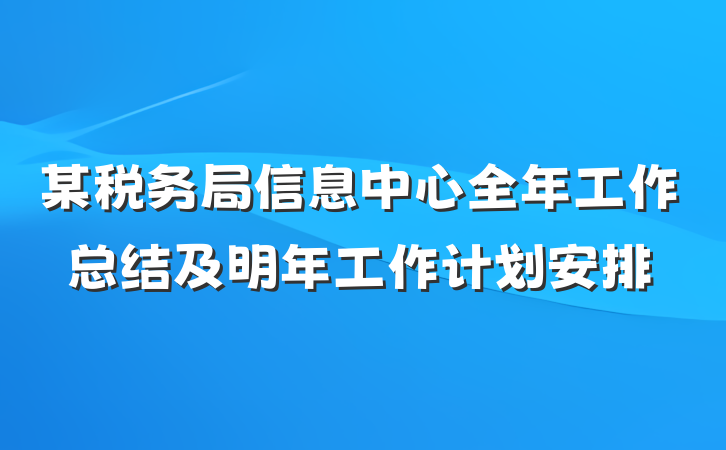 某税务局信息中心全年工作总结及明年工作计划安排