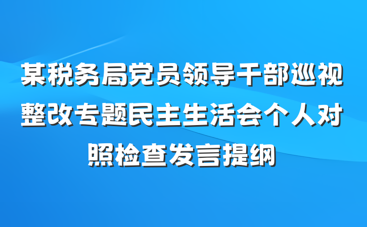 某税务局党员领导干部巡视整改专题民主生活会个人对照检查发言提纲