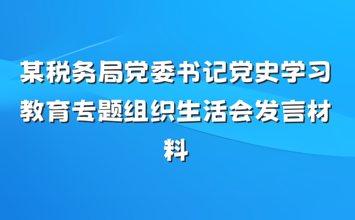 某税务局党委书记党史学习教育专题组织生活会发言材料