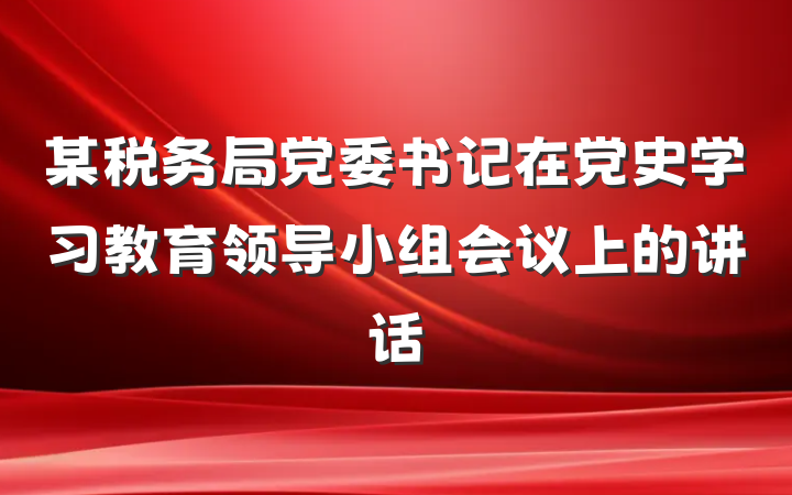 某税务局党委书记在党史学习教育领导小组会议上的讲话