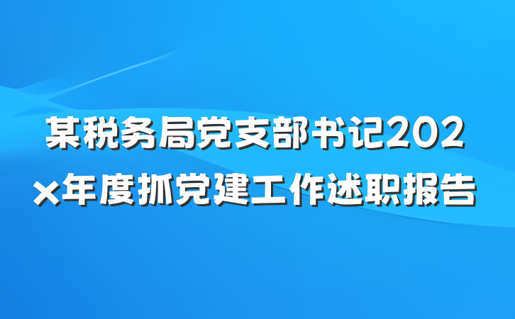 某税务局党支部书记202x年度抓党建工作述职报告