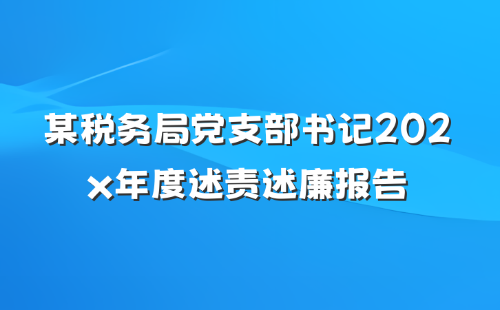 某税务局党支部书记202x年度述责述廉报告