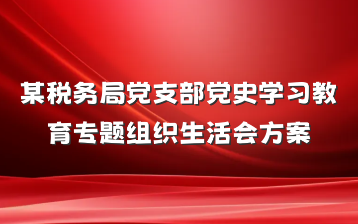 某税务局党支部党史学习教育专题组织生活会方案
