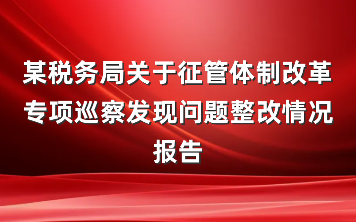 某税务局关于征管体制改革专项巡察发现问题整改情况报告
