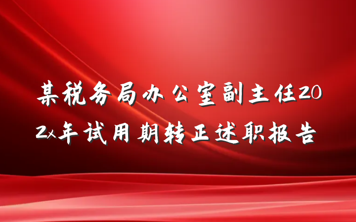 某税务局办公室副主任202x年试用期转正述职报告